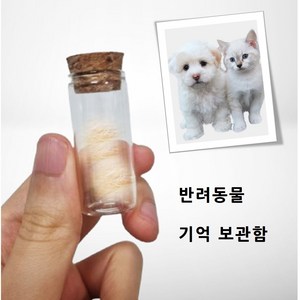 반려동물 기억보관함 고양이수염보관함