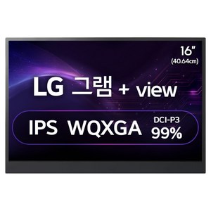 LG전자 WQXGA 그램 +View 모니터