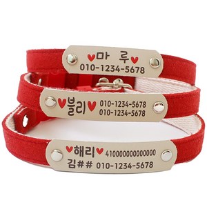 미소펫 인디 INDI 강아지 고양이 인식표 목줄 목걸이 반려동물 이름표, 1개, 레드