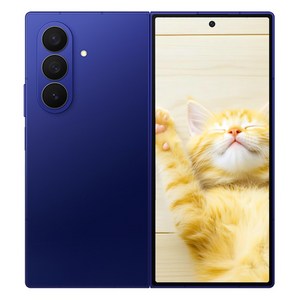 삼성전자 갤럭시 Z폴드 7 SM-F966N
