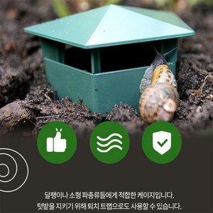 달팽이 집 달팽이분양