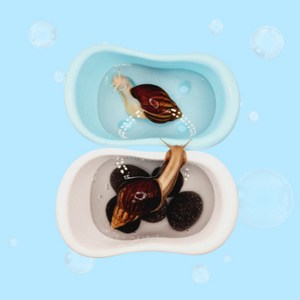 소동물 대형 목욕 욕조, 왕달팽이 온욕, 햄스터, 앵무새 목욕 큰 목욕탕
