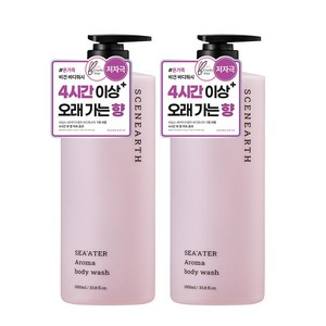 씨널스 씨어터 아로마 퍼퓸 보습 바디워시, 2개, 1L