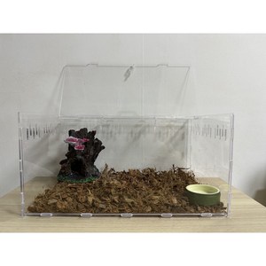 러스트몰 도마뱀사육장 크레 레게 아크릴사육장+은신처+바닥재+물그릇 세트
