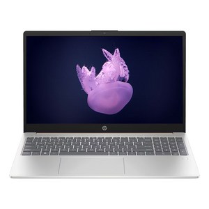 HP 2025 노트북 15 라이젠5 라이젠 7000 시리즈, 15-fc1058AU, WIN11 Home, 16GB, 256GB, Natural Silver