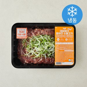 요리락 대파채가 한웅큼 들어간 소불고기 (냉동), 1개, 500g