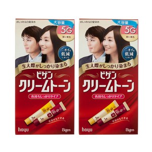 비겐 크림톤 염색제, 5G진한밤색, 2개
