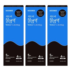 씨드비 프리미엄 시즌2 물 염색제 4p