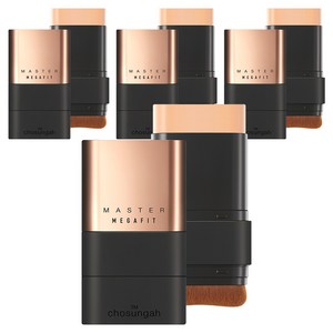 조성아TM 메가 핏 스틱 파운데이션 마스터 SPF50+ PA++++ 16g, 4개, 02 SAND BEIGE