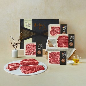 농협안심한우 1+등급 구이세트 900g (등심250g + 채끝 250g + 부채살 200g + 업진살200g) (냉장), 1세트, 250g + 250g + 200g + 200g