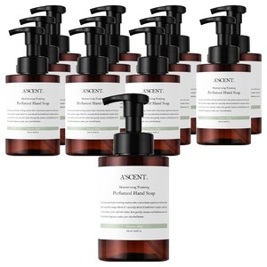 에이센트 퍼퓸드 버블 핸드워시 그린에어리, 500ml, 12개